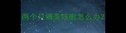 两个月博美咳嗽怎么办