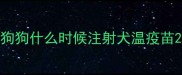 狗狗什么时候注射犬温疫苗