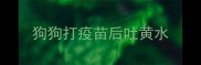狗狗打疫苗后吐黄水
