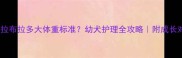 五个月拉布拉多大体重标准幼犬护理全攻略附成长对照表