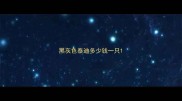 黑灰色泰迪多少钱一只