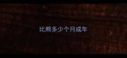 比熊多少个月成年