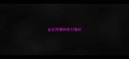 金毛用哪种牵引绳好