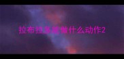 拉布拉多能做什么动作