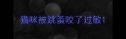 猫咪被跳蚤咬了过敏