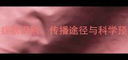 猫咪感染狂犬病毒全症状识别传播途径与科学预防指南附最新数据