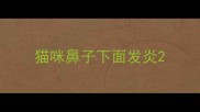 猫咪鼻子下面发炎