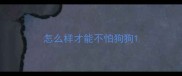 怎么样才能不怕狗狗