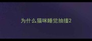 为什么猫咪睡觉抽搐