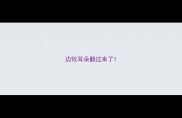 边牧耳朵翻过来了