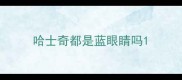 哈士奇都是蓝眼睛吗