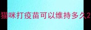 猫咪打疫苗可以维持多久