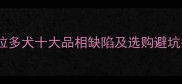 拉布拉多犬十大品相缺陷及选购避坑指南