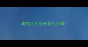狗狗舌头裂开怎么回事