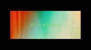 两个月柴犬吃什么