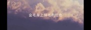 金毛身上掉毛有红色