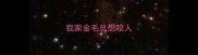 我家金毛总想咬人