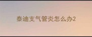 泰迪支气管炎怎么办