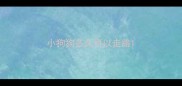 小狗狗多久可以走路