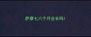 萨摩七八个月会长吗