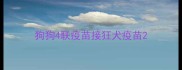 狗狗4联疫苗接狂犬疫苗