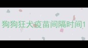 狗狗狂犬疫苗间隔时间