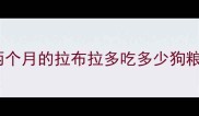 两个月的拉布拉多吃多少狗粮
