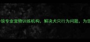 北京犬语者宠物训导馆专业宠物训练机构解决犬只行为问题为您打造和谐宠物家庭