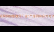狂犬疫苗后狗狗频繁腹泻这5个原因和应对方法全