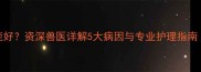 猫咪咳嗽多久能好资深兽医详解5大病因与专业护理指南附自救步骤