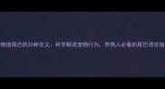 狗狗摆尾巴的20种含义科学解读宠物行为养狗人必看的尾巴语言指南