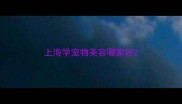 上海学宠物美容哪家好