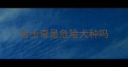 哈士奇是危险犬种吗