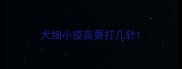 犬细小疫苗要打几针