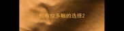 拉布拉多粮的选择