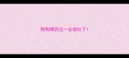 狗狗喂药过一会就吐了