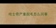 哈士奇严重脱毛怎么回事