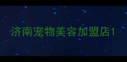 济南宠物美容加盟店
