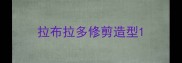 拉布拉多修剪造型
