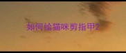 如何给猫咪剪指甲