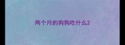 两个月的狗狗吃什么