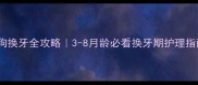 狗狗换牙全攻略3-8月龄必看换牙期护理指南