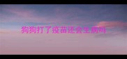 狗狗打了疫苗还会生病吗