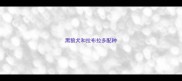 黑狼犬和拉布拉多配种