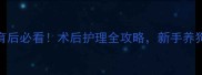 公泰迪绝育后必看术后护理全攻略新手养狗家长速存