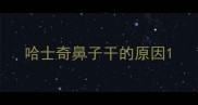 哈士奇鼻子干的原因