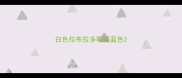 白色拉布拉多眼睛蓝色