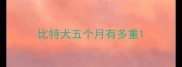 比特犬五个月有多重