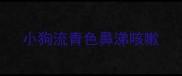 小狗流青色鼻涕咳嗽