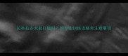 拉布拉多犬能打猎吗附专业训练攻略和注意事项